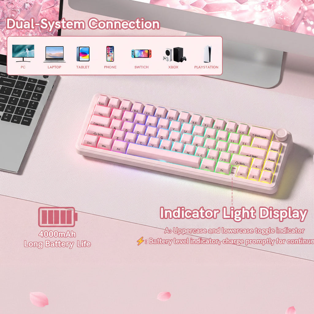 Womier L65 65% Gaming Mechanical Keyboard Wireless with Knob - Womier Keyboard