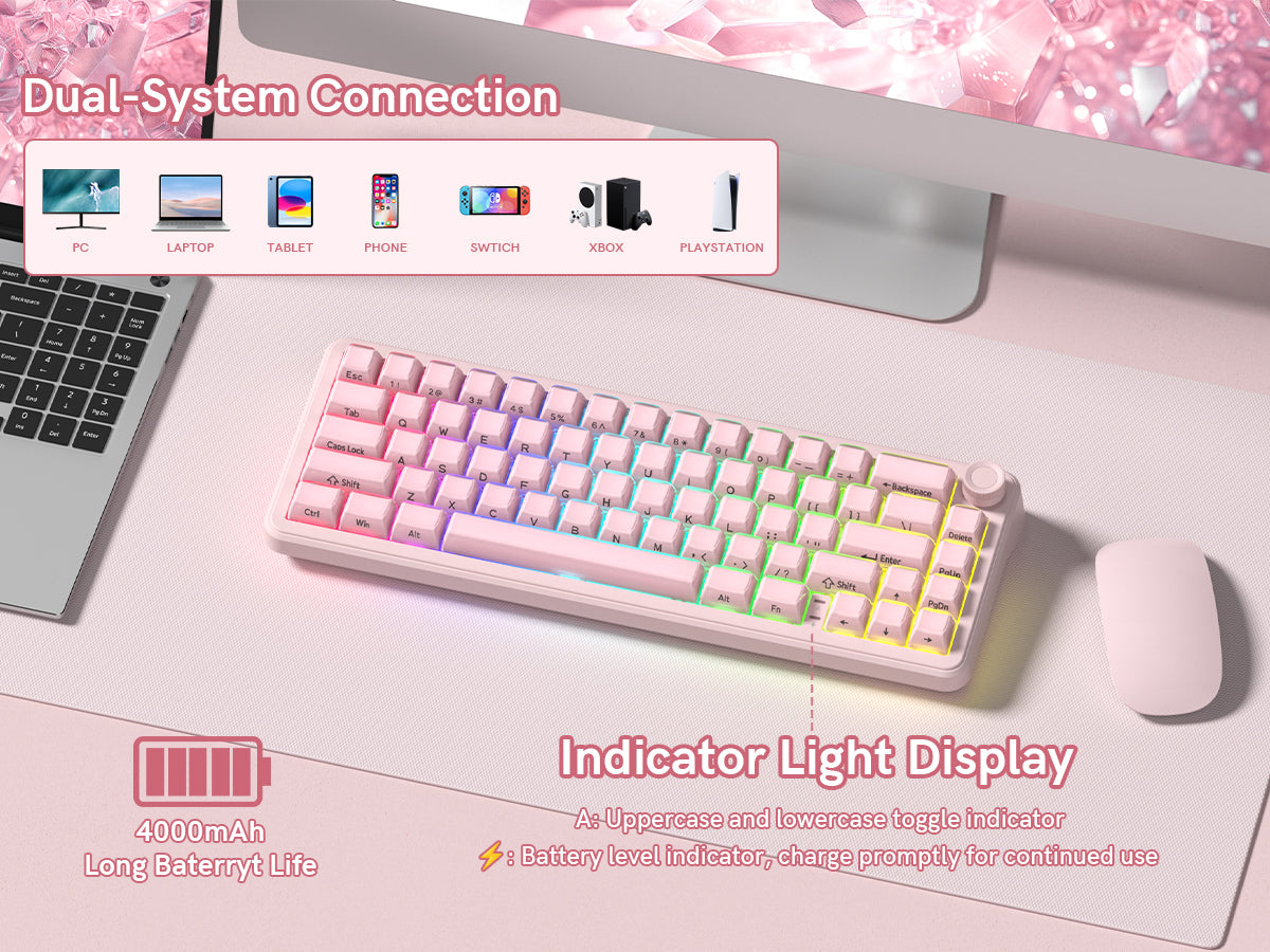 Womier L65 65% Gaming Mechanical Keyboard Wireless with Knob