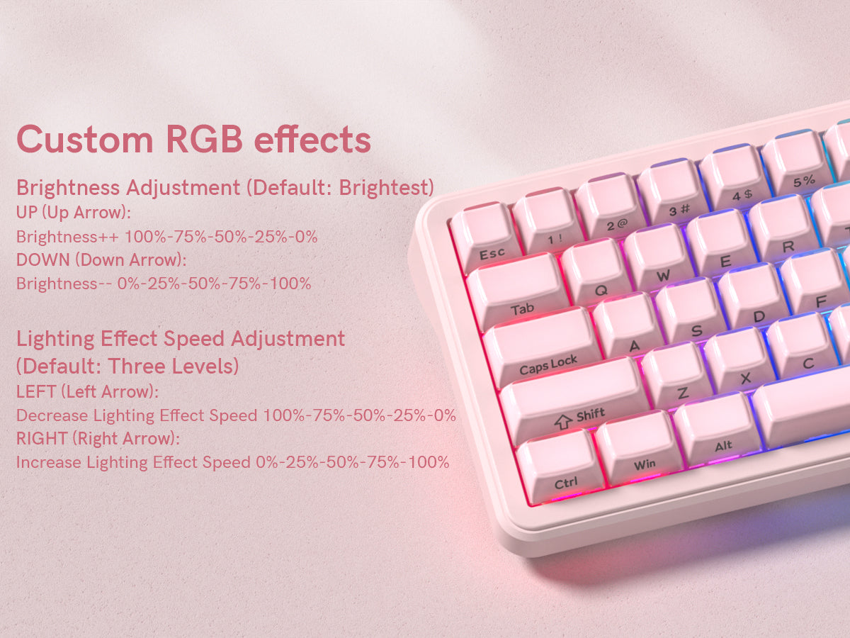 Womier L65 65% Gaming Mechanical Keyboard Wireless with Knob