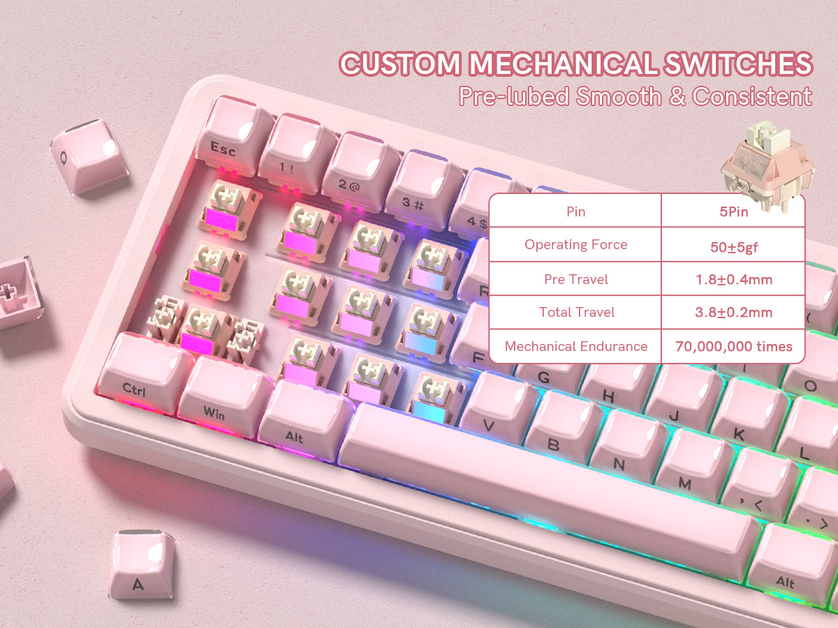 Womier L65 65% Gaming Mechanical Keyboard Wireless with Knob