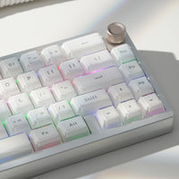 Womier Jello Side-Printed Translucent OEM Profile Keycap (113-Key)
