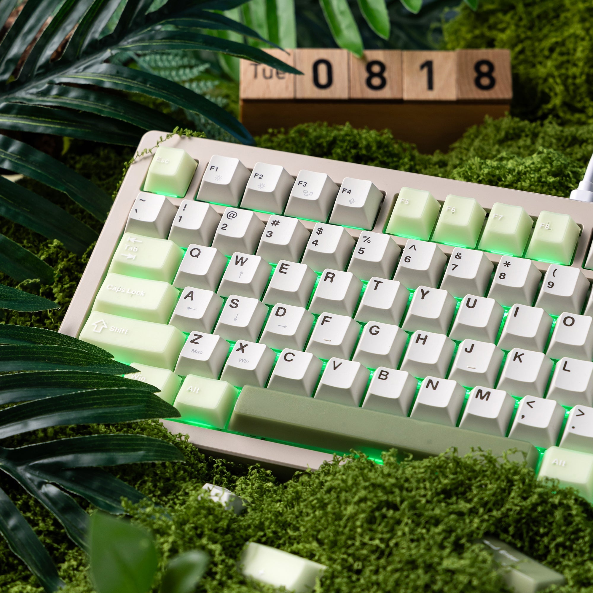 Creator Bundle — Womier DUO87 Keyboard + Cube Jade Cherry PBT Keycaps - Womier Keyboard
