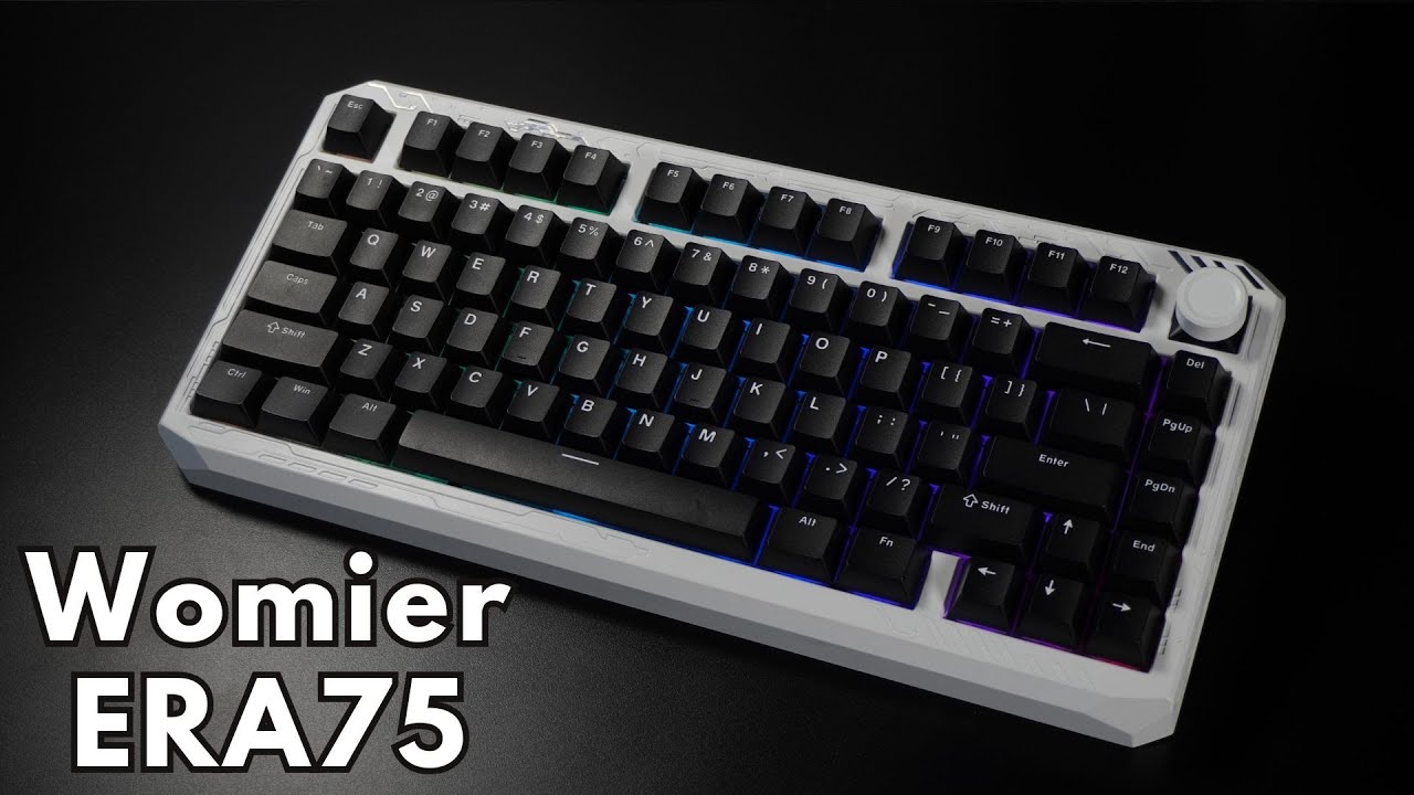R*o様 ★美品★ Womier ERA75 Ice メカニカルキーボード 組立 R*o様 ☆美品☆ Womier ERA75 Ice メカニカルキーボード 組立