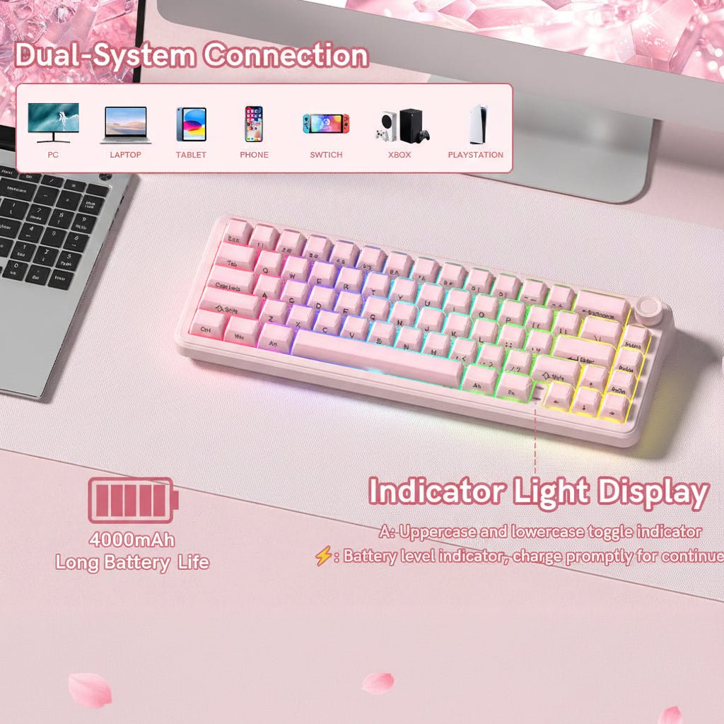 Womier L65 65% Gaming Mechanical Keyboard Wireless with Knob - Womier Keyboard